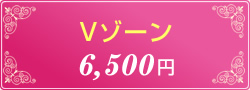 Vゾーン　8,000 円