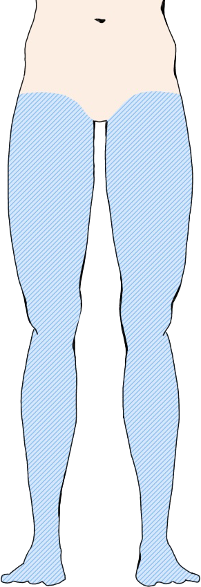 脚全体　足指まで