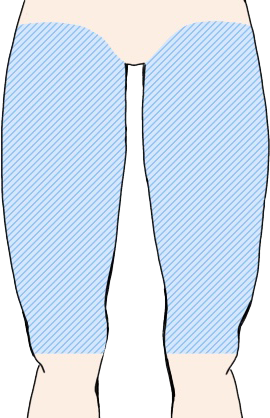 太もも　全体