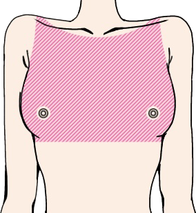 胸部