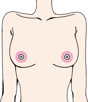 乳輪