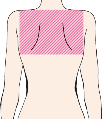 背中　肩胛骨より上