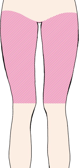 太もも　表